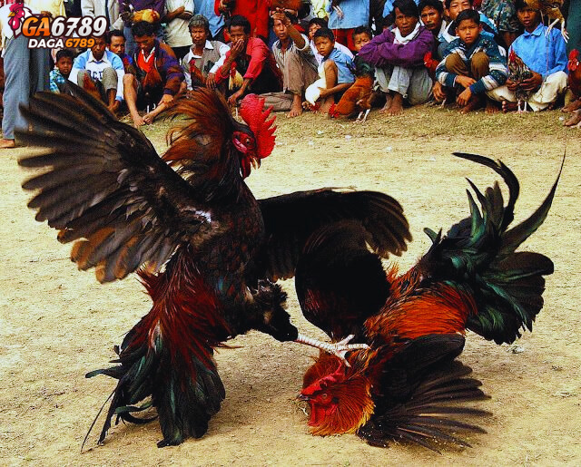 kinh nghiem choi ke